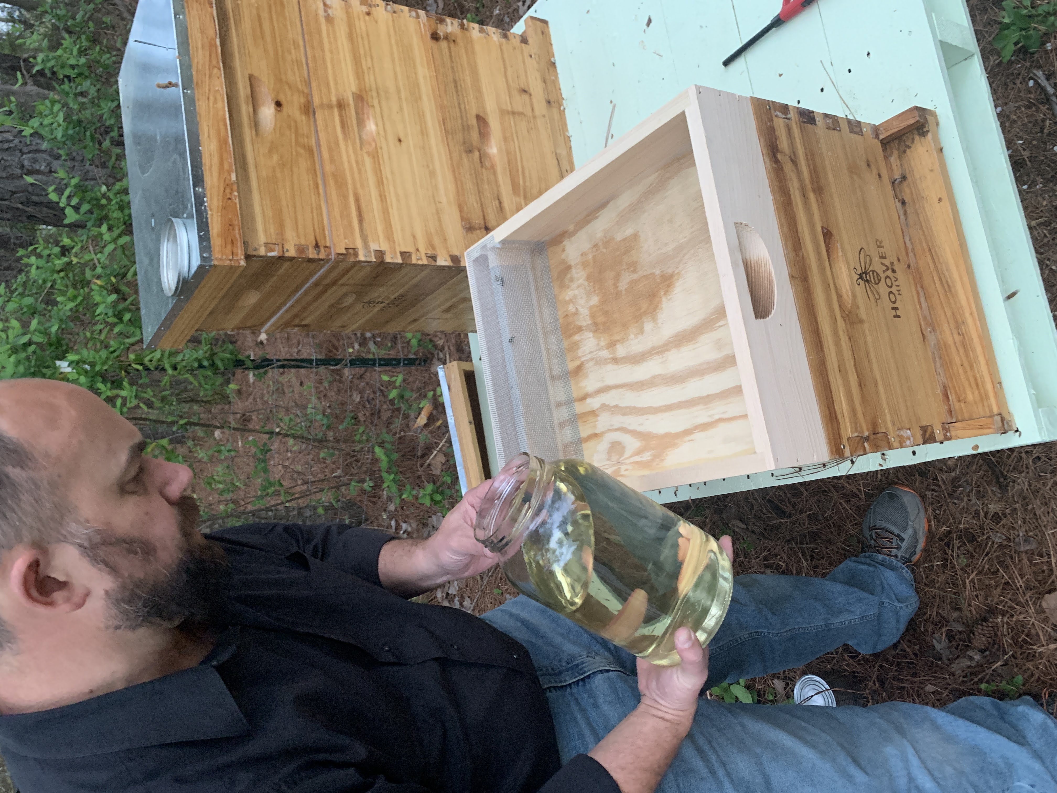 Honey Bees